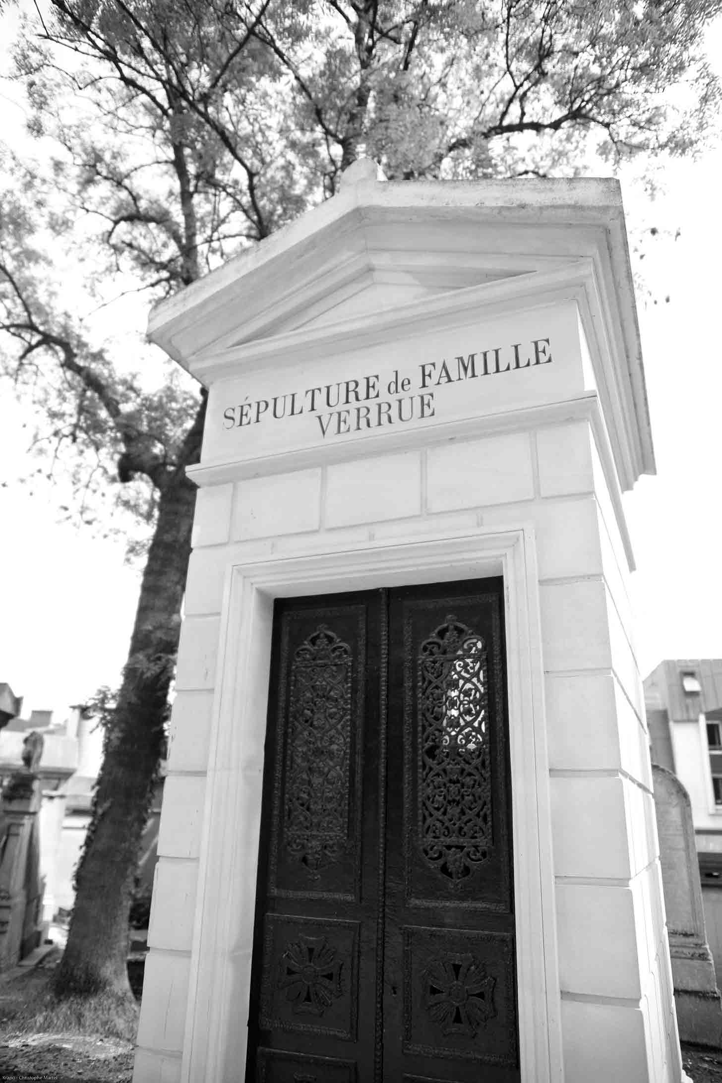  La famille Verrue - Christophe Martel 