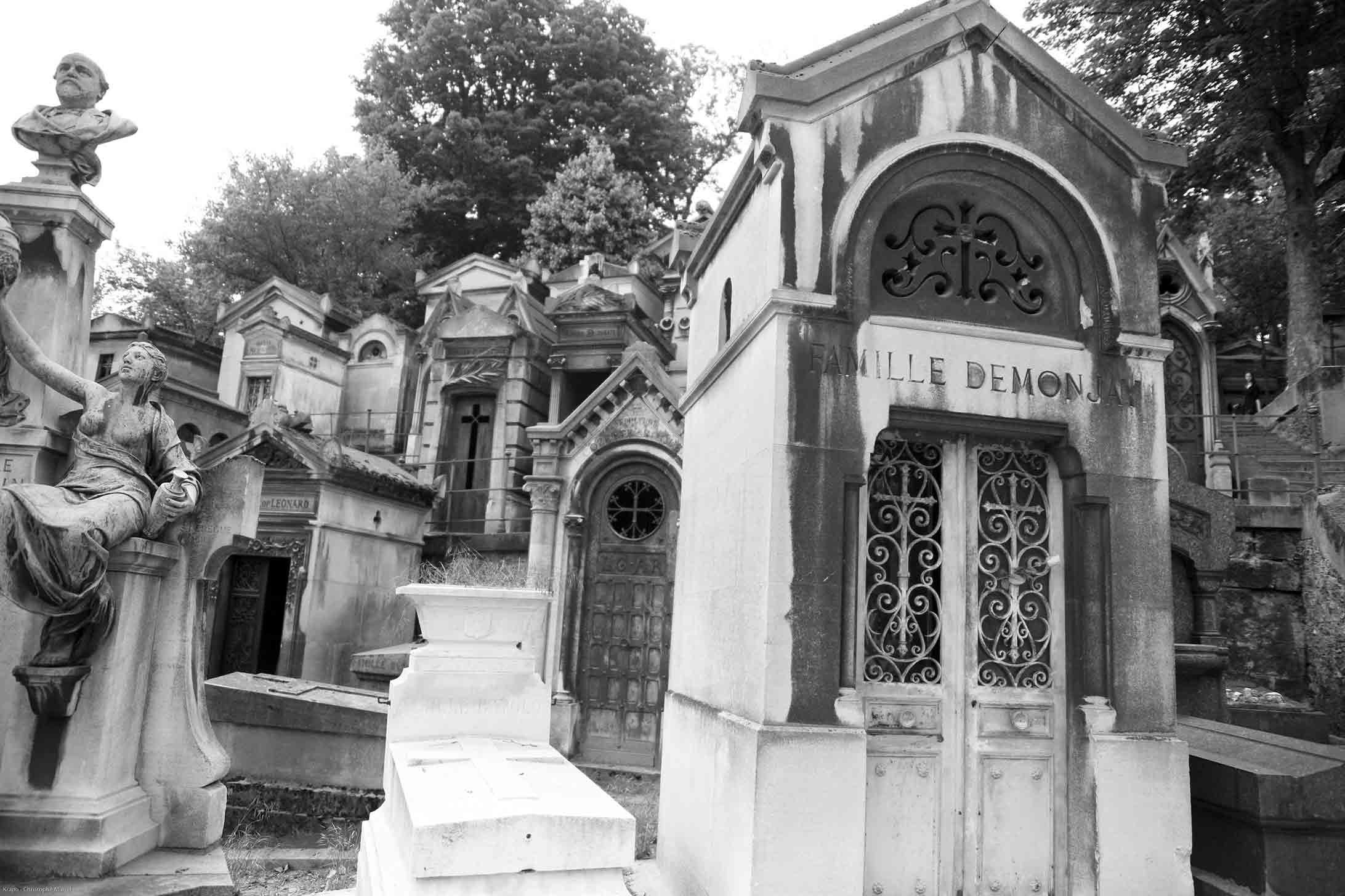  La famille Démon - Christophe Martel 