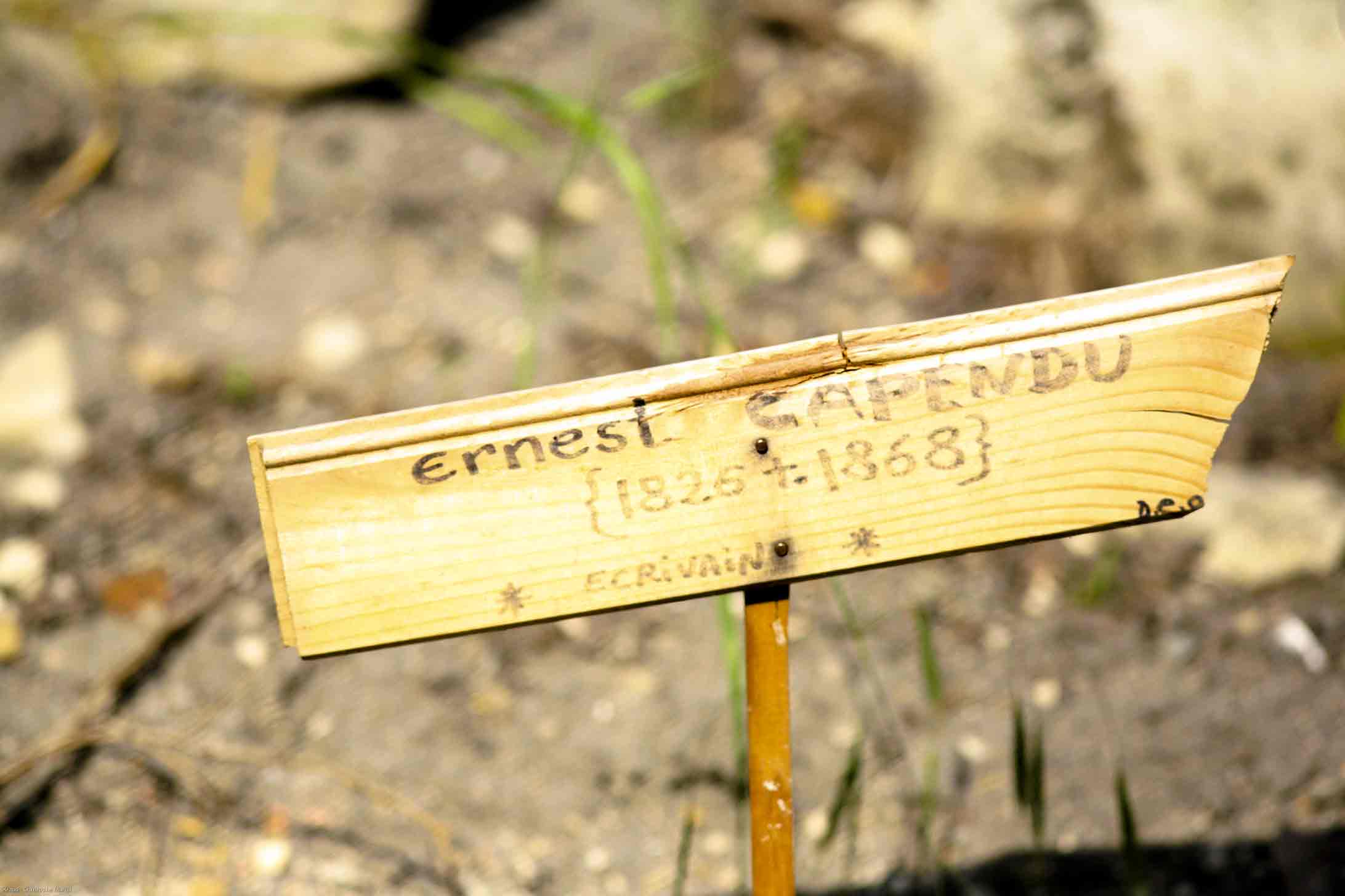  Pauvres artistes - Christophe Martel 