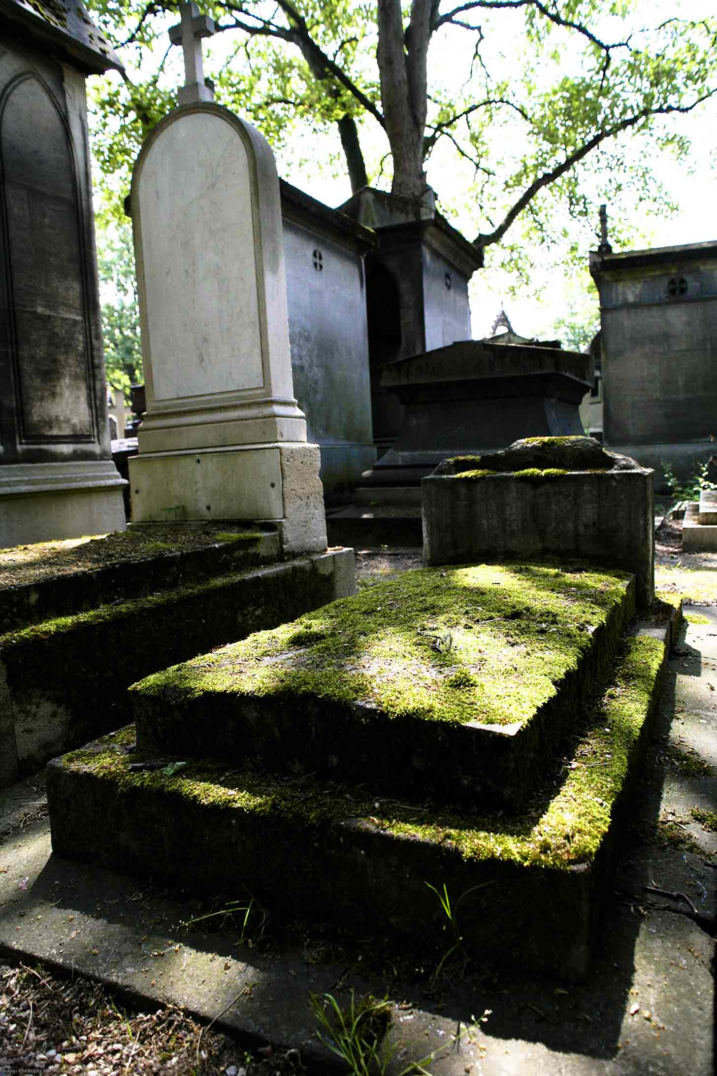  Tombe moussue - Christophe Martel 