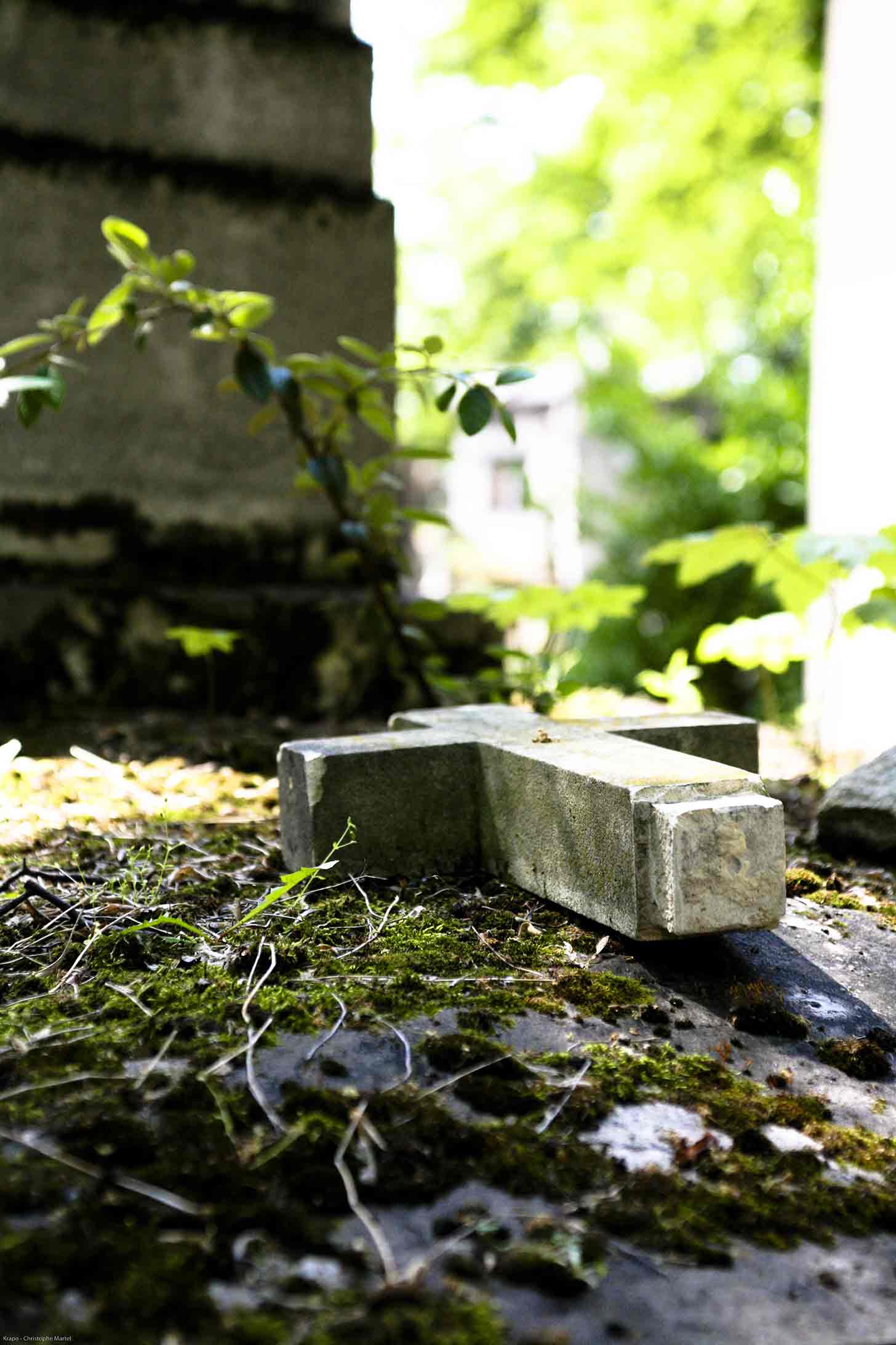  Croix abandonnée - Christophe Martel 