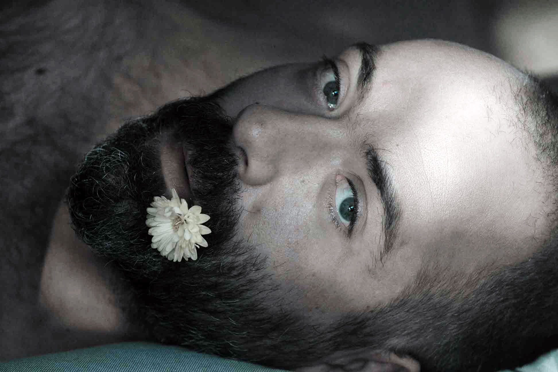  La marguerite - Christophe Martel 